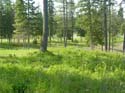 Coeur d'Alene Lake Area Photographs (609)