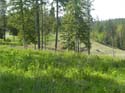 Coeur d'Alene Lake Area Photographs (610)