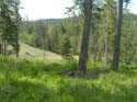 Coeur d'Alene Lake Area Photographs (611)