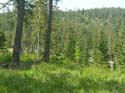 Coeur d'Alene Lake Area Photographs (612)