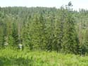 Coeur d'Alene Lake Area Photographs (613)