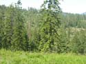 Coeur d'Alene Lake Area Photographs (614)