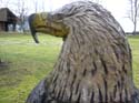 Coeur d'Alene Lake Area Photographs (623)