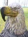 Coeur d'Alene Lake Area Photographs (624)
