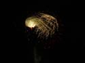 Coeur d'Alene Lake Area Photographs (63)