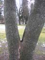 Coeur d'Alene Lake Area Photographs (644)