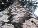 Coeur d'Alene Lake Area Photographs (646)