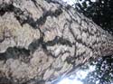 Coeur d'Alene Lake Area Photographs (648)