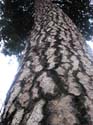 Coeur d'Alene Lake Area Photographs (649)
