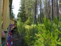 Coeur d'Alene Lake Area Photographs (76)