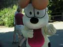 Coeur d'Alene Lake Area Photographs (8)