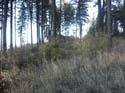 Coeur d'alene (38)