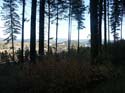 Coeur d'alene (40)