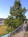 Wildwaters Coeur d'Alene (7)