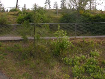 Post Falls Area Photographs (10)