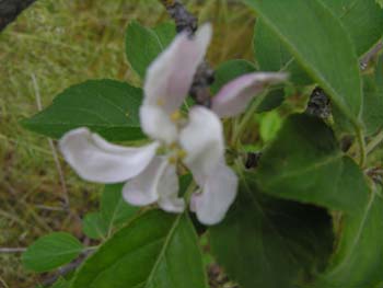 Post Falls Area Photographs (37)