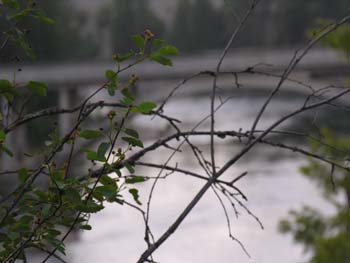 Post Falls Area Photographs (41)