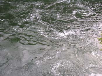 Post Falls Area Photographs (44)