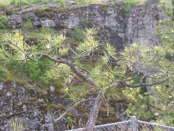 Post Falls Area Photographs (48)