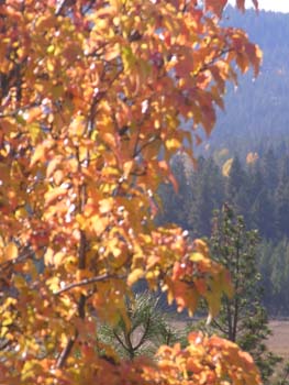 Post Falls Photographs (153)