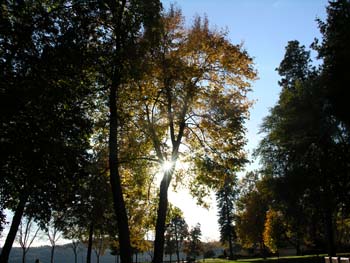 Post Falls Photographs (244)