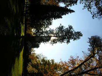 Post Falls Photographs (247)