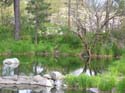 Post Falls (25)