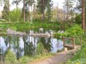 Post Falls Area Photographs (29)