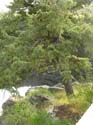 Post Falls Area Photographs (4)