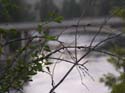 Post Falls Area Photographs (41)