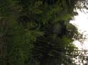 Post Falls Area Photographs (42)