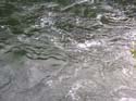 Post Falls Area Photographs (44)