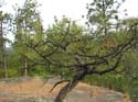 Post Falls Area Photographs (47)