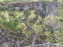 Post Falls Area Photographs (48)