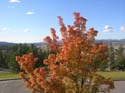 Post Falls Photographs (160)