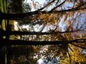 Post Falls Photographs (249)