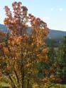 Post Falls Photographs (32)