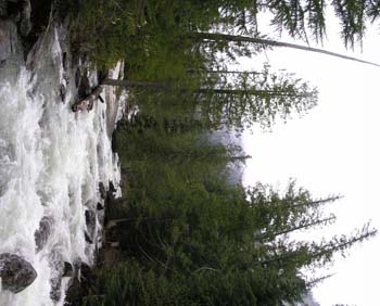 LIONHEAD_RAPIDS