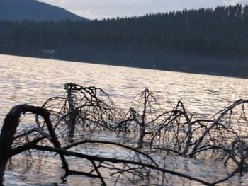 Priest Lake Area (18)