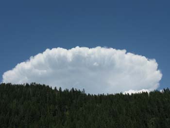 Priest Lake Area (40)