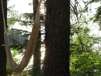 Priest Lake Area (55)