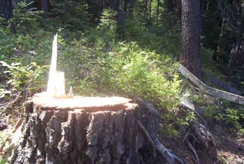 Priest Lake Area Photographs (1)