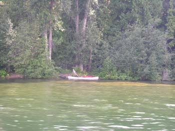Priest Lake Area Photographs (1003)