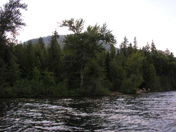Priest Lake Area Photographs (1005)