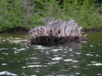 Priest Lake Area Photographs (1006)