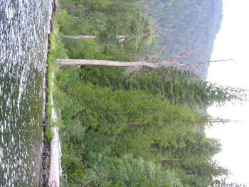 Priest Lake Area Photographs (1007)