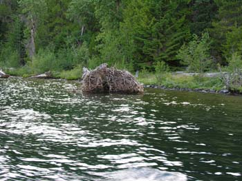 Priest Lake Area Photographs (1008)