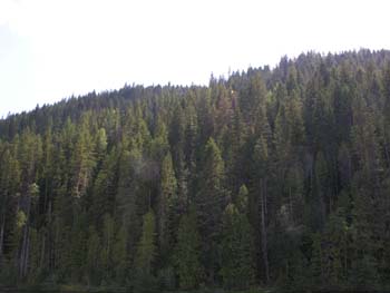 Priest Lake Area Photographs (1017)