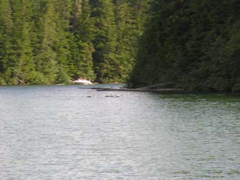 Priest Lake Area Photographs (1026)