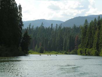 Priest Lake Area Photographs (1059)